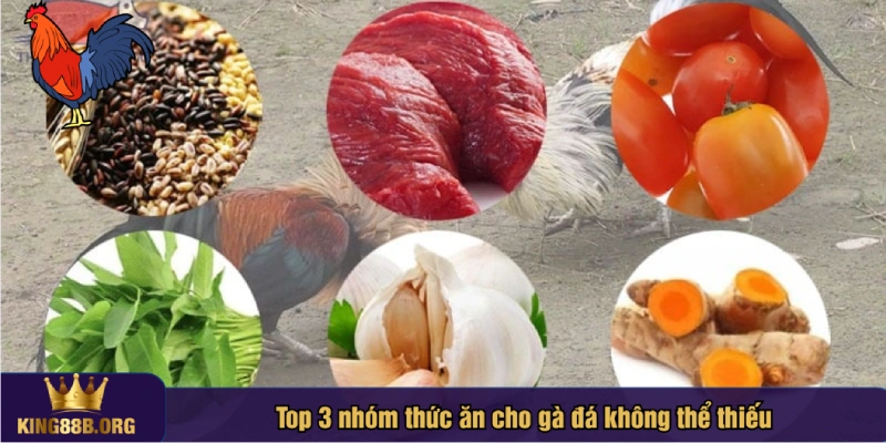Có thể phân chia thức ăn cho gà đá thành nhiều nhóm