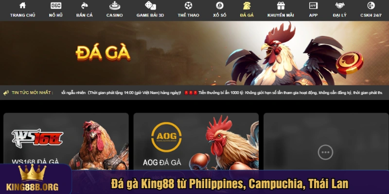 Đá gà King88 từ Philippines, Campuchia, Thái Lan
