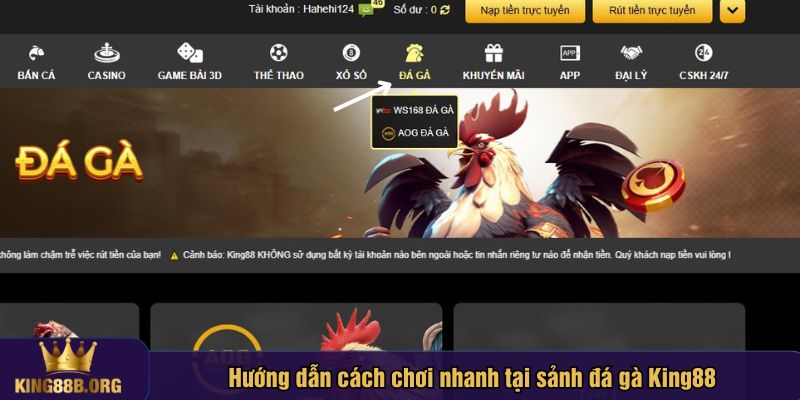 Hướng dẫn cách cá cược tại sảnh chiến kê